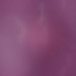 Meet your Posher, Paul